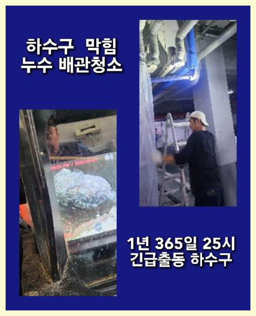 당하동하수구역류